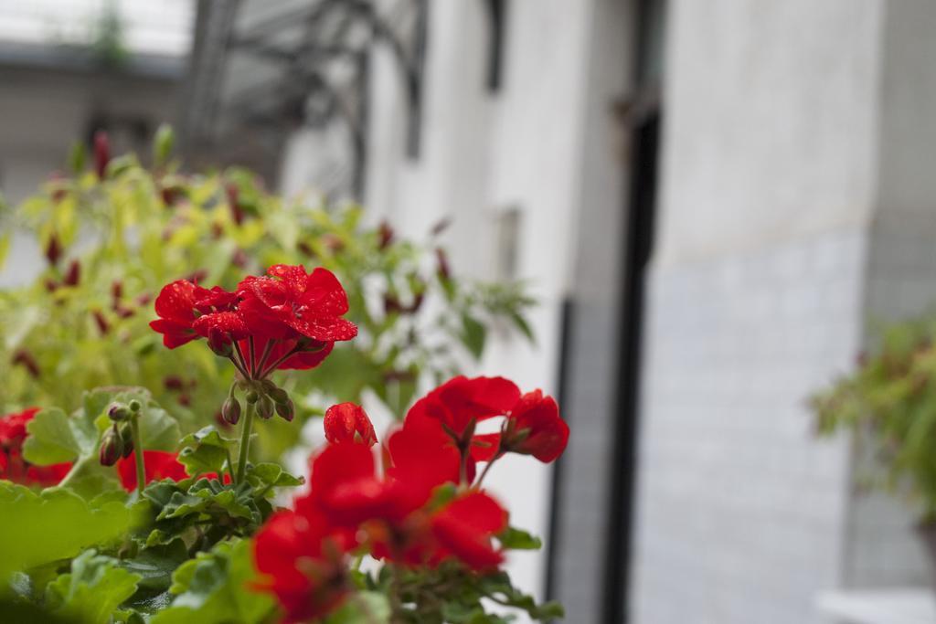 בודפשט Ariel Studio Close To St. Stephen Basilica מראה חיצוני תמונה